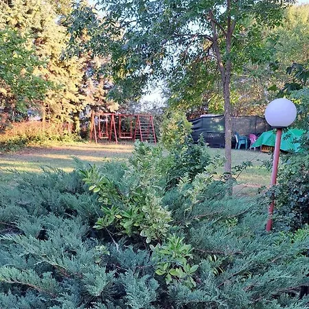 комплекс джулай морнинг