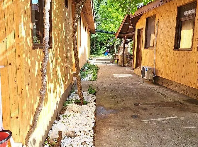 комплекс джулай морнинг * キテン